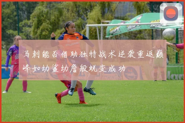 马刺能否借助独特战术逆袭重返巅峰如幼鲨幼詹般蜕变成功